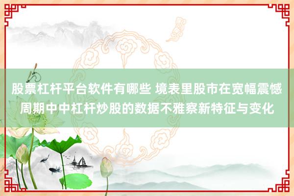 股票杠杆平台软件有哪些 境表里股市在宽幅震憾周期中中杠杆炒股的数据不雅察新特征与变化